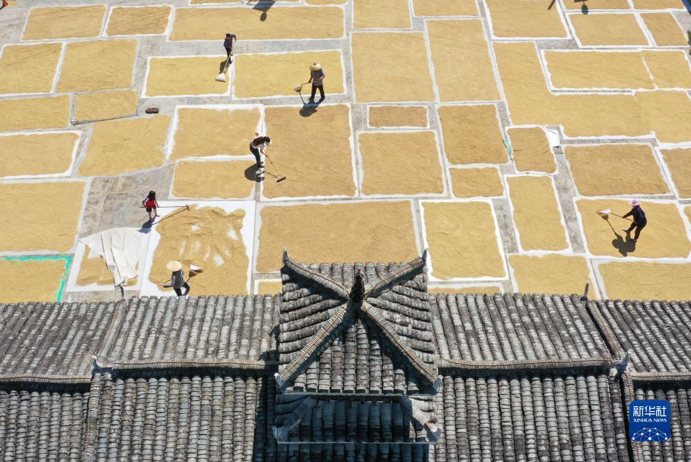 广东九博科技